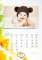 Kalendarz 13-planszowy 14x31cm wzór 06