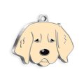 Identyfikator metalowy golden retriever