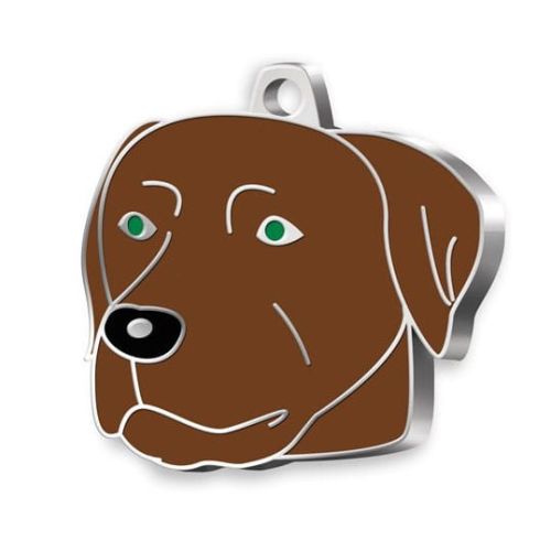 Identyfikator dla psa Labrador