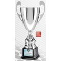 Puchar srebrny 4105 + przykładowa tabliczka