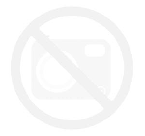 Colop 20 PRO metaliczny brąz 14x38mm (1)