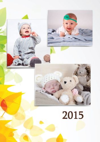 Kalendarz 13-planszowy 14x31cm wzór 06